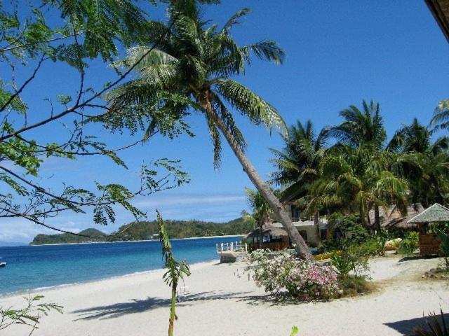 El Canonero Diving Beach Resort بويرتو غاليرا المظهر الخارجي الصورة